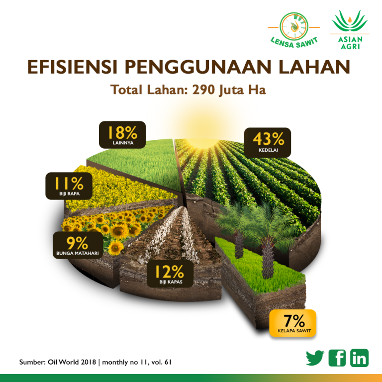 Mengapa Dunia Membutuhkan Minyak Kelapa Sawit Berkelanjutan - Asian Agri