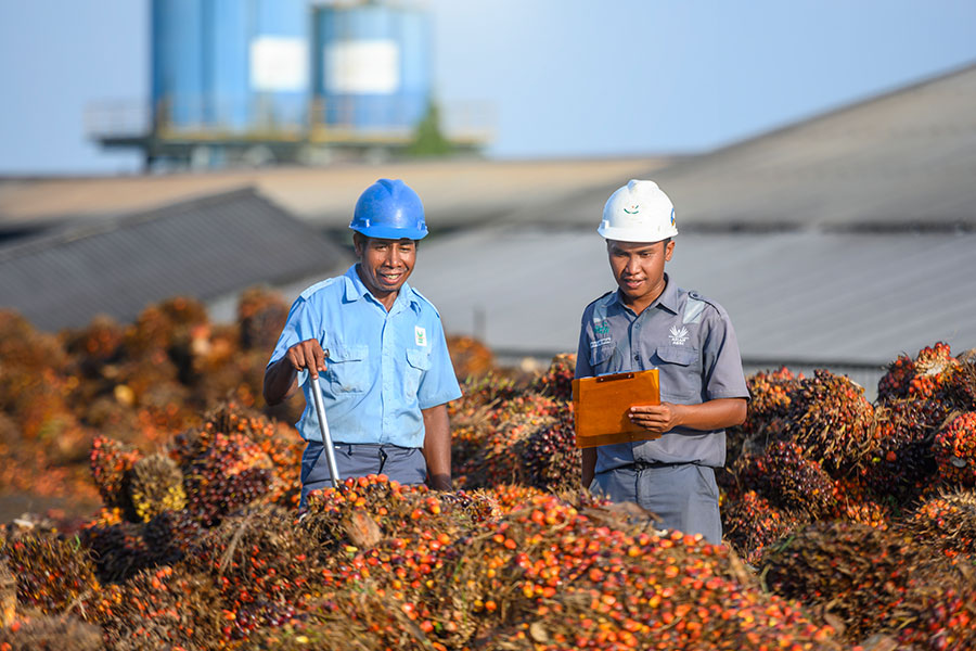 Is palm oil good for you? - Asian Agri