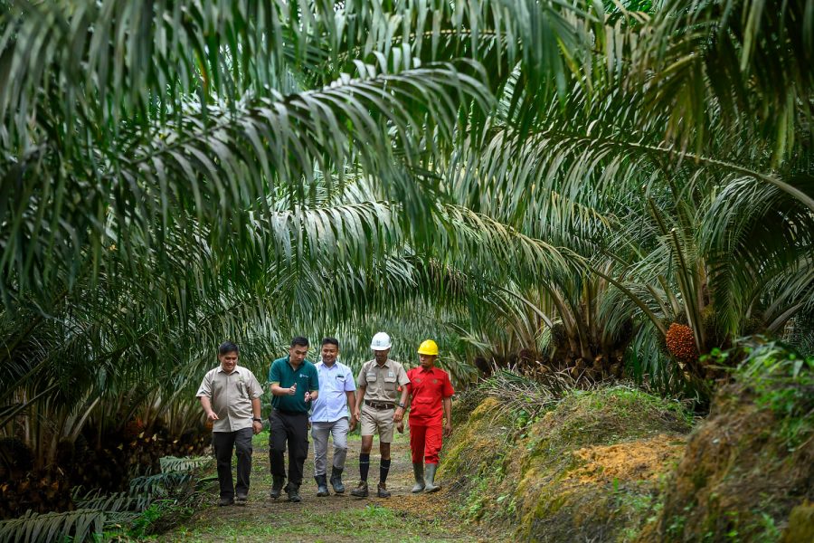 Perusahaan - Asian Agri