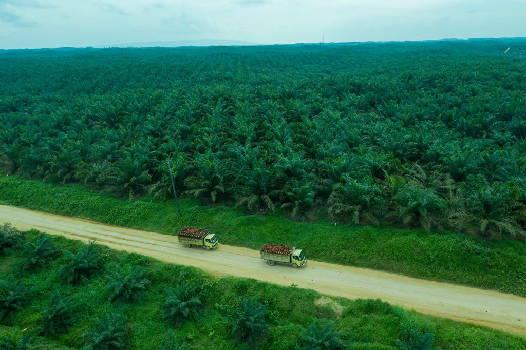 Perusahaan - Asian Agri